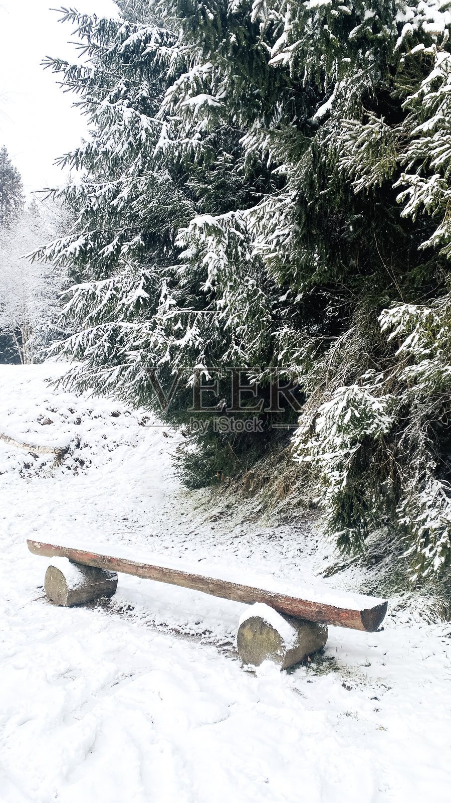 雪-covered森林与一张木制长椅照片摄影图片