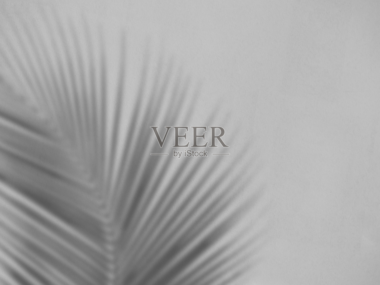 阴影光线夏季背景阳光叠加自然在水泥墙地板上的抽象模糊效果灰色简约平台,用于产品展示背景、壁纸模板展示。照片摄影图片