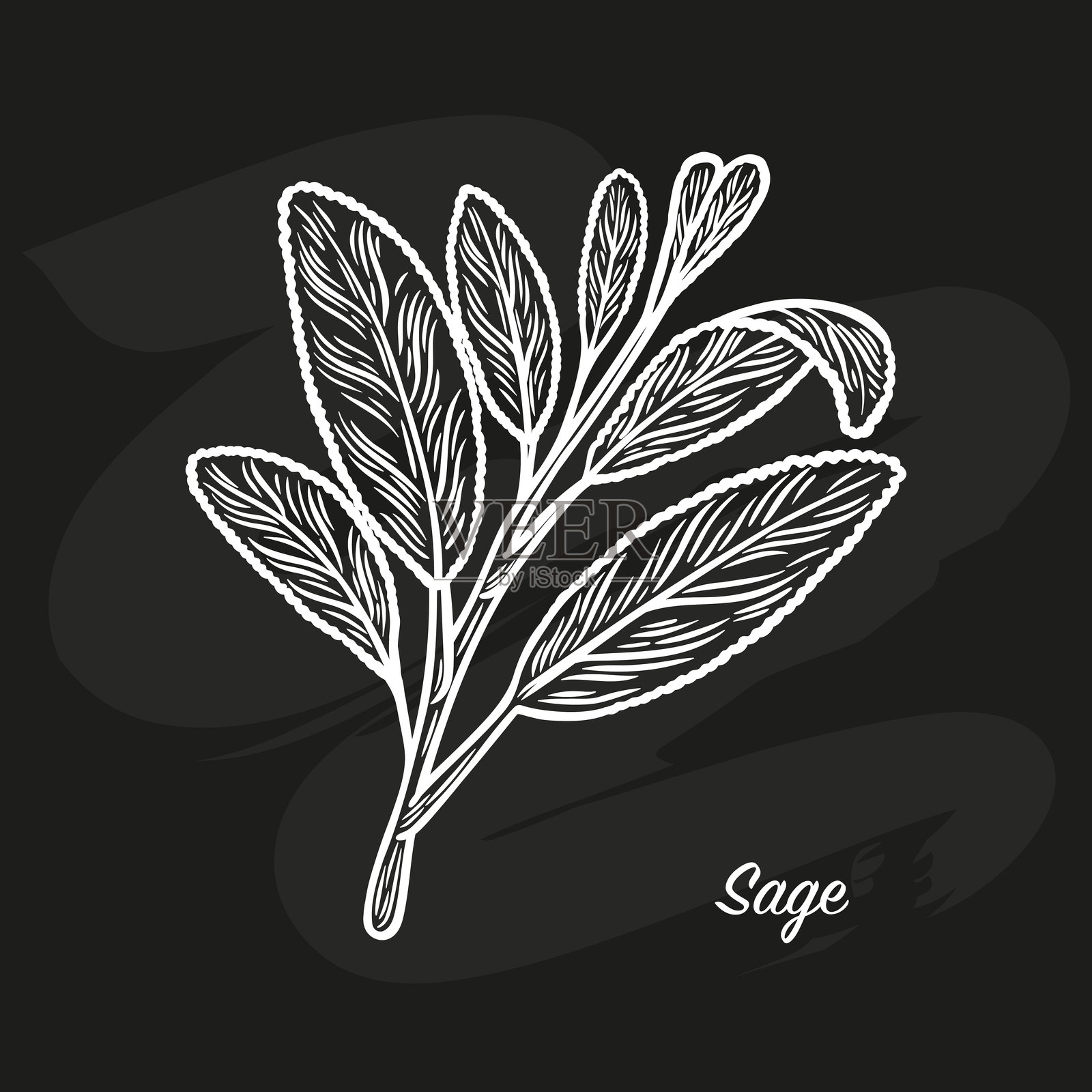 黑色背景上的圣人素描画插画图片素材