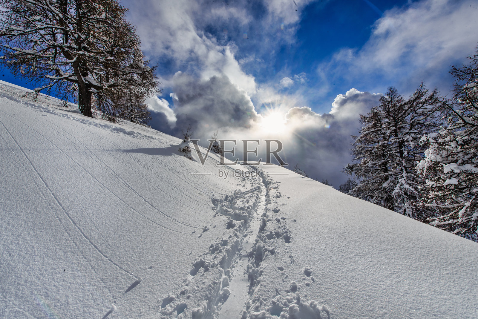 新雪上的滑雪痕迹照片摄影图片
