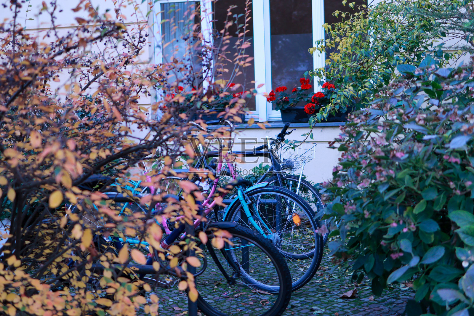 城市中的秋天照片摄影图片