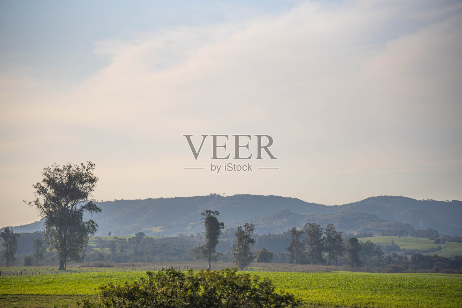 南美洲草原的风景。照片摄影图片