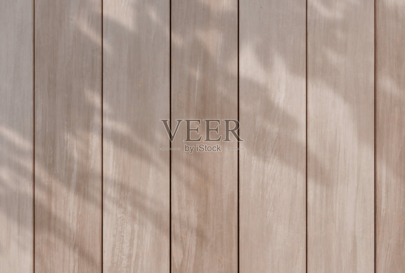 美丽的树影背景插图照片摄影图片