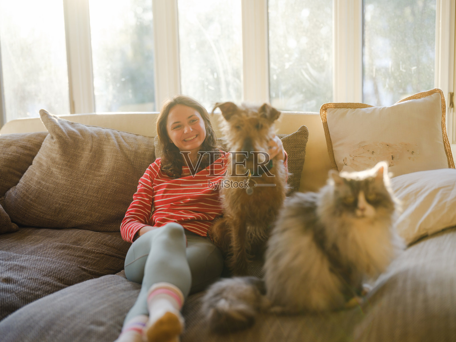 女人在阳光明媚的下午与狗和猫一起依偎在沙发上照片摄影图片