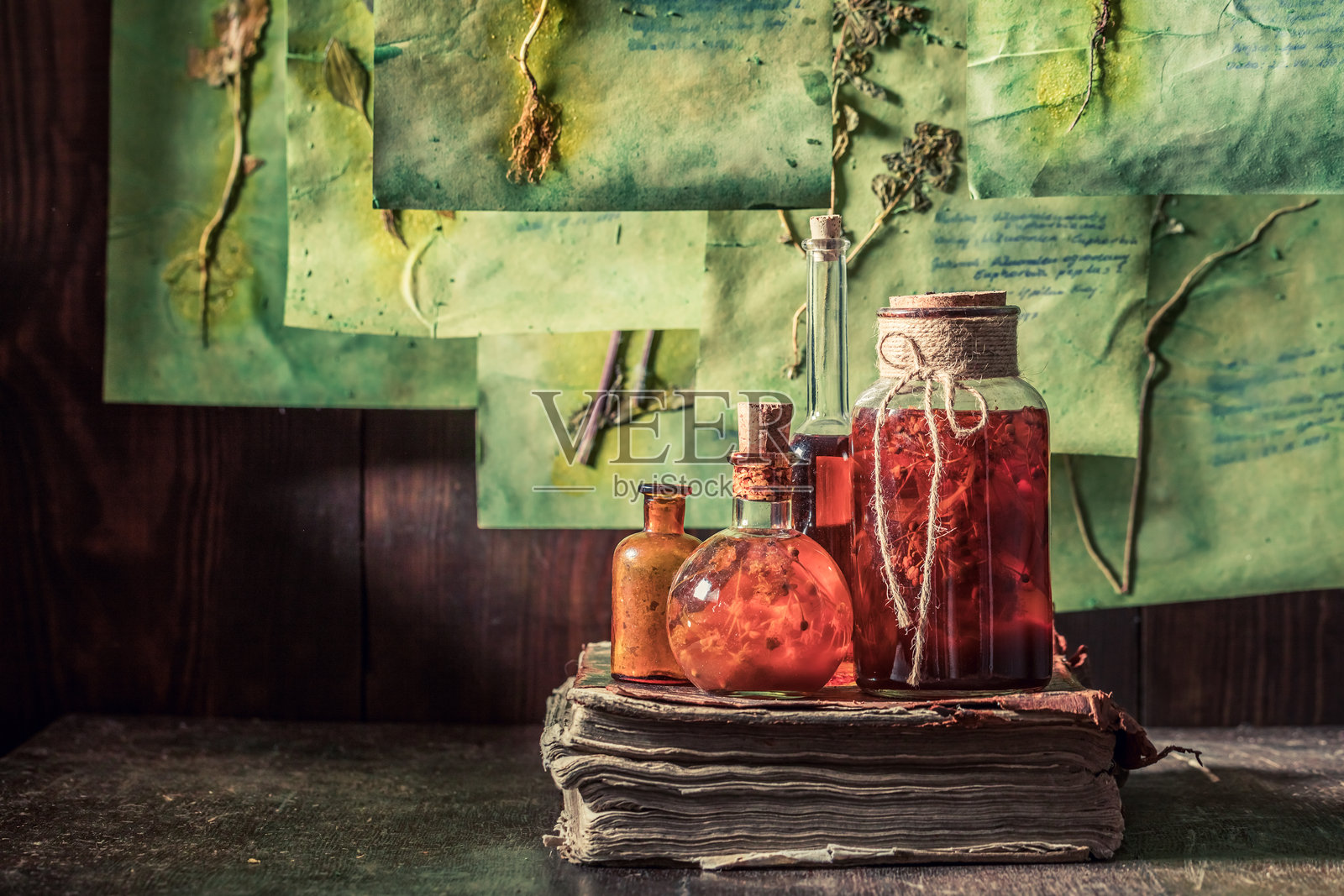 万圣节背景下的草药工作坊与植物描述照片摄影图片