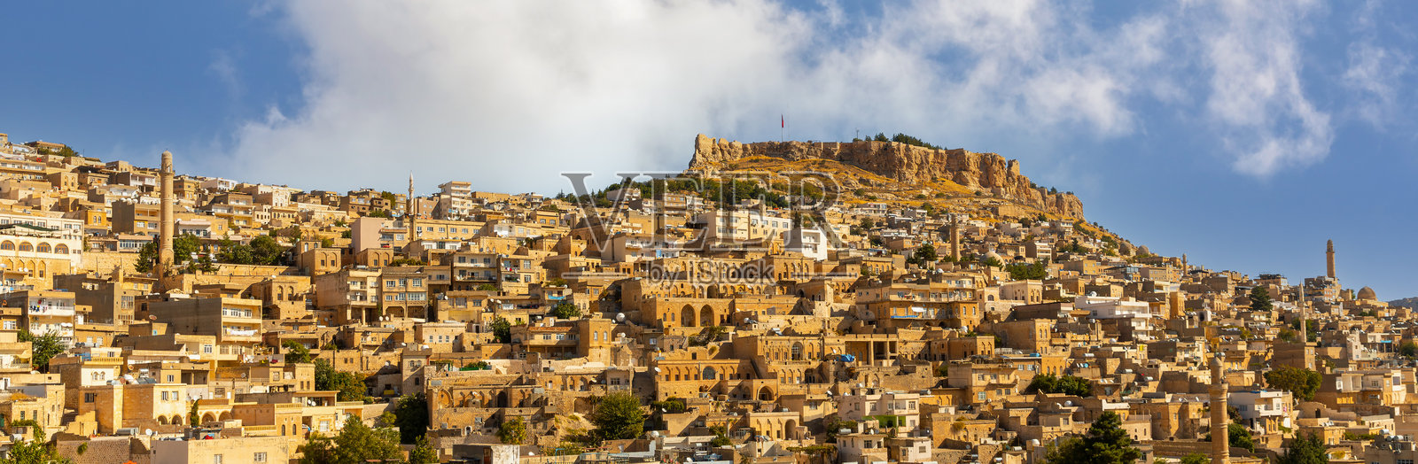 老马尔丁照片摄影图片