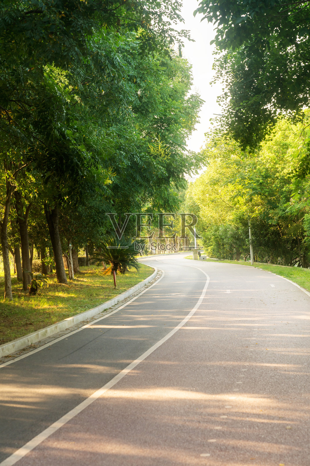 新的步道和美丽的树木,适合在公园里跑步、散步或骑自行车放松。照片摄影图片