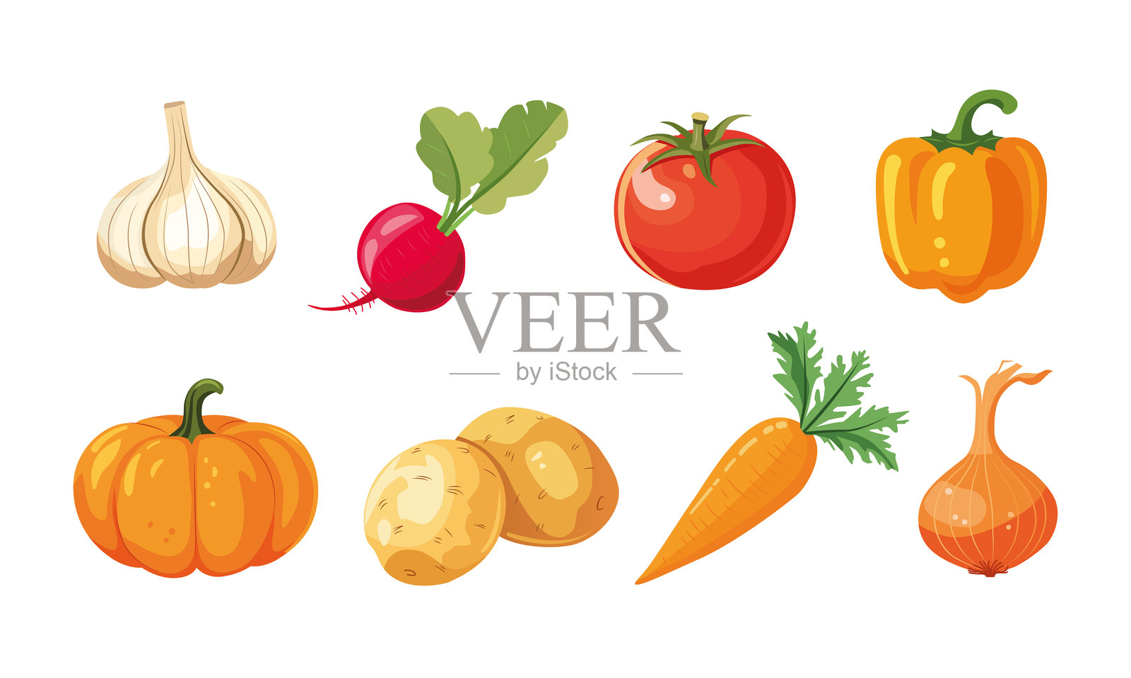 一组手绘的洋葱、大蒜、萝卜、西红柿、辣椒、南瓜、土豆和胡萝卜。插画图片素材