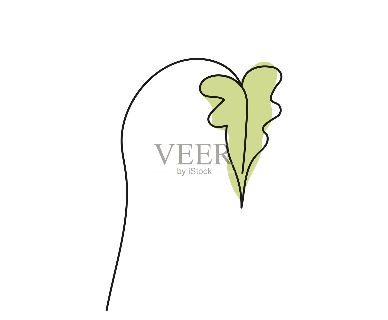 连续一笔画的绿色叶子,孤立在白色背景上。线条艺术。植物,绿意。自然、生态、有机形状、植物艺术、环保装饰的概念。设计元素,印刷。插画图片素材