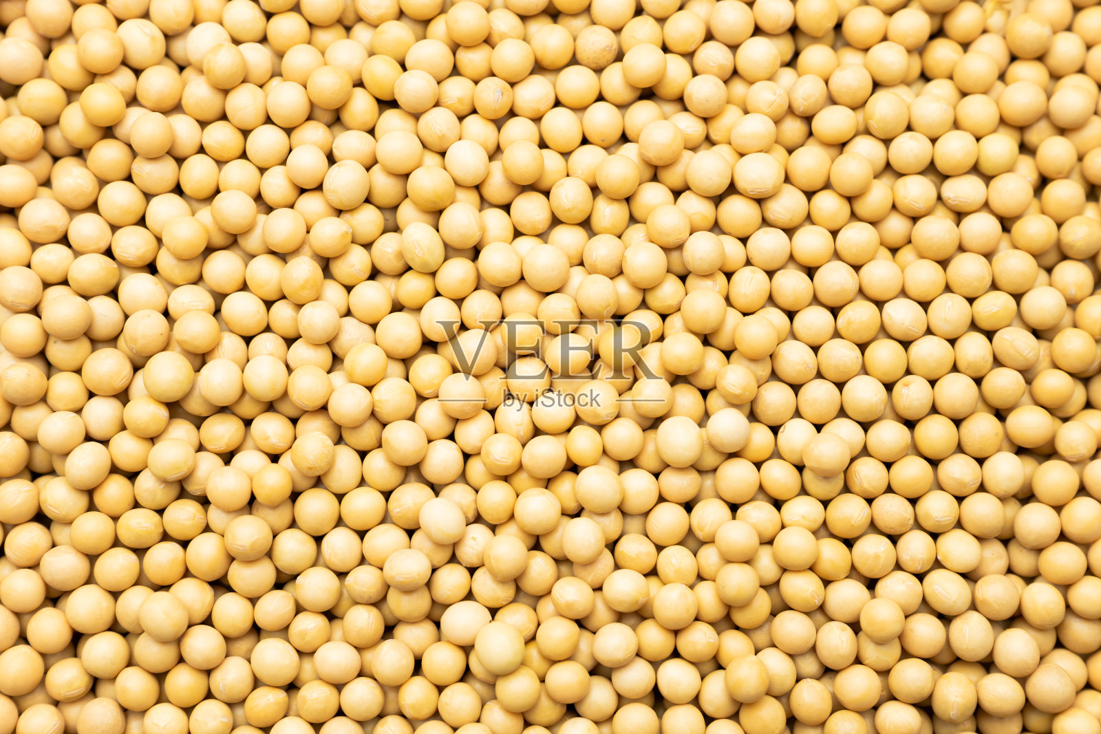 大豆照片摄影图片