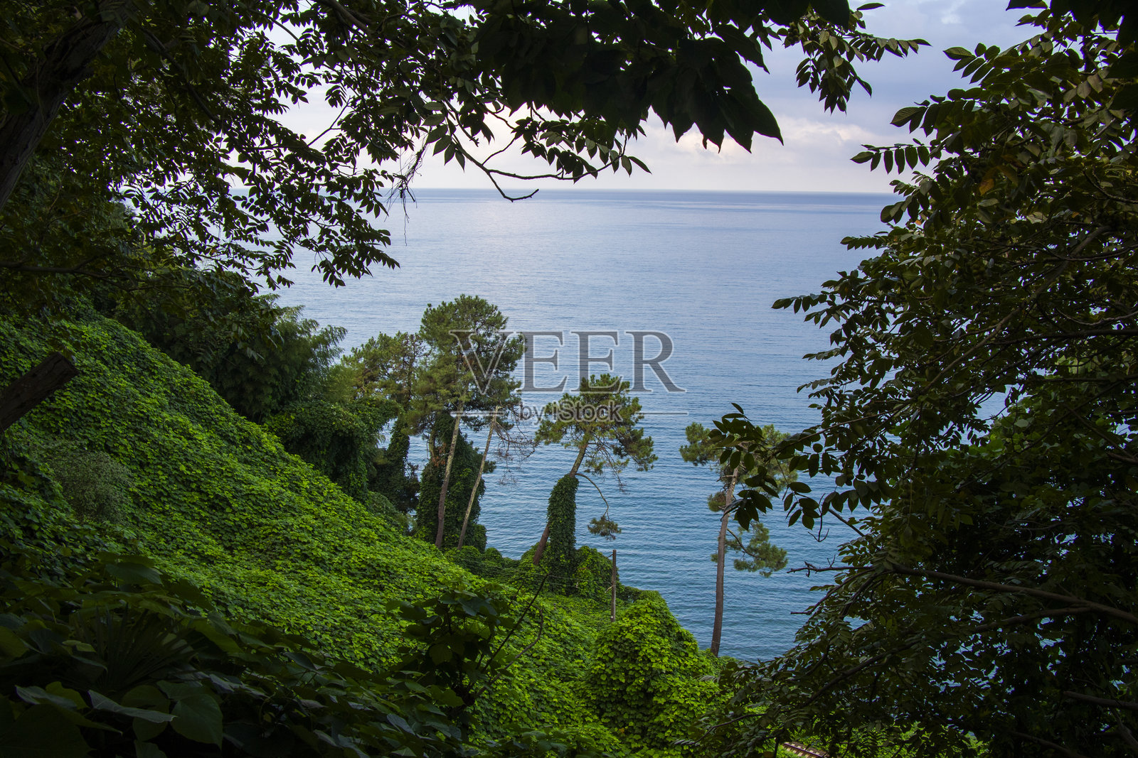 黑海照片摄影图片