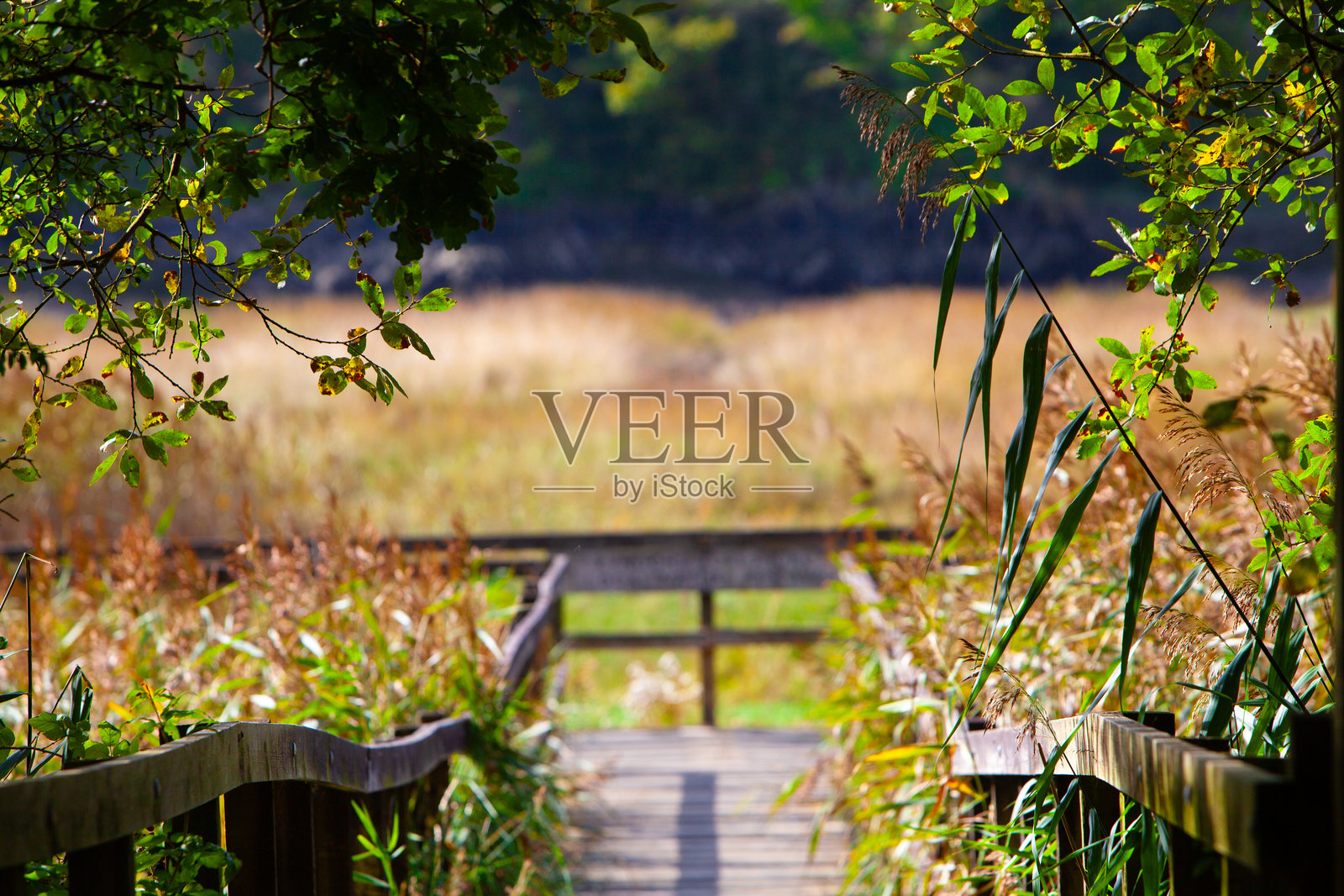 一个放松的桥梁照片摄影图片