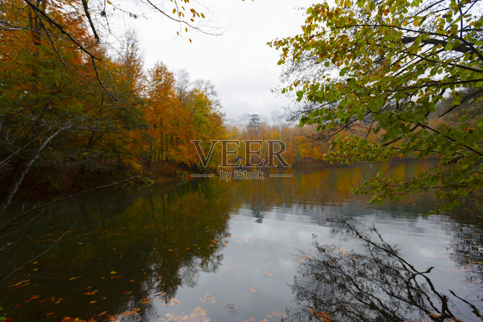 七湖国家公园自然栖息地照片摄影图片