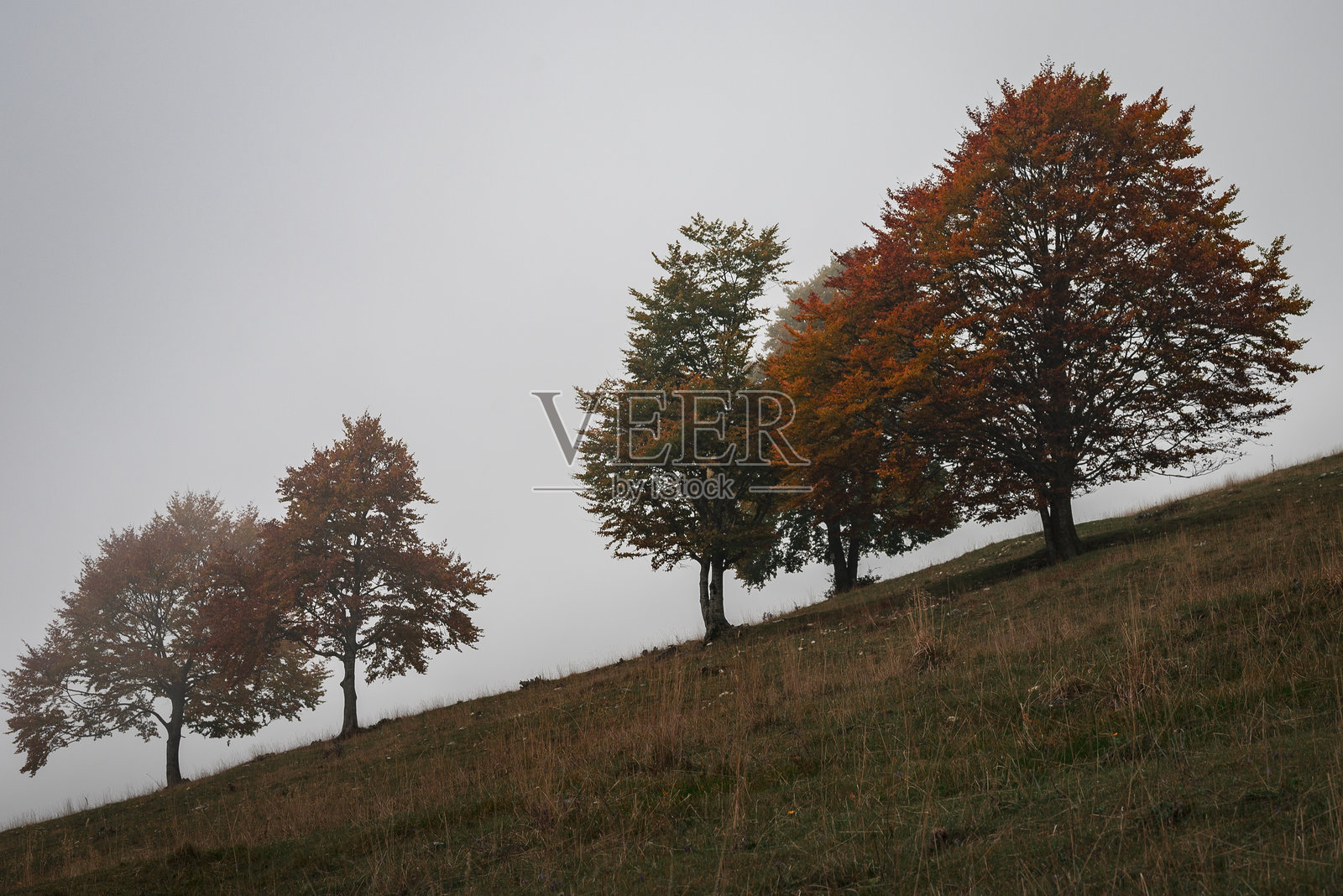 雾蒙蒙的秋天山景照片摄影图片