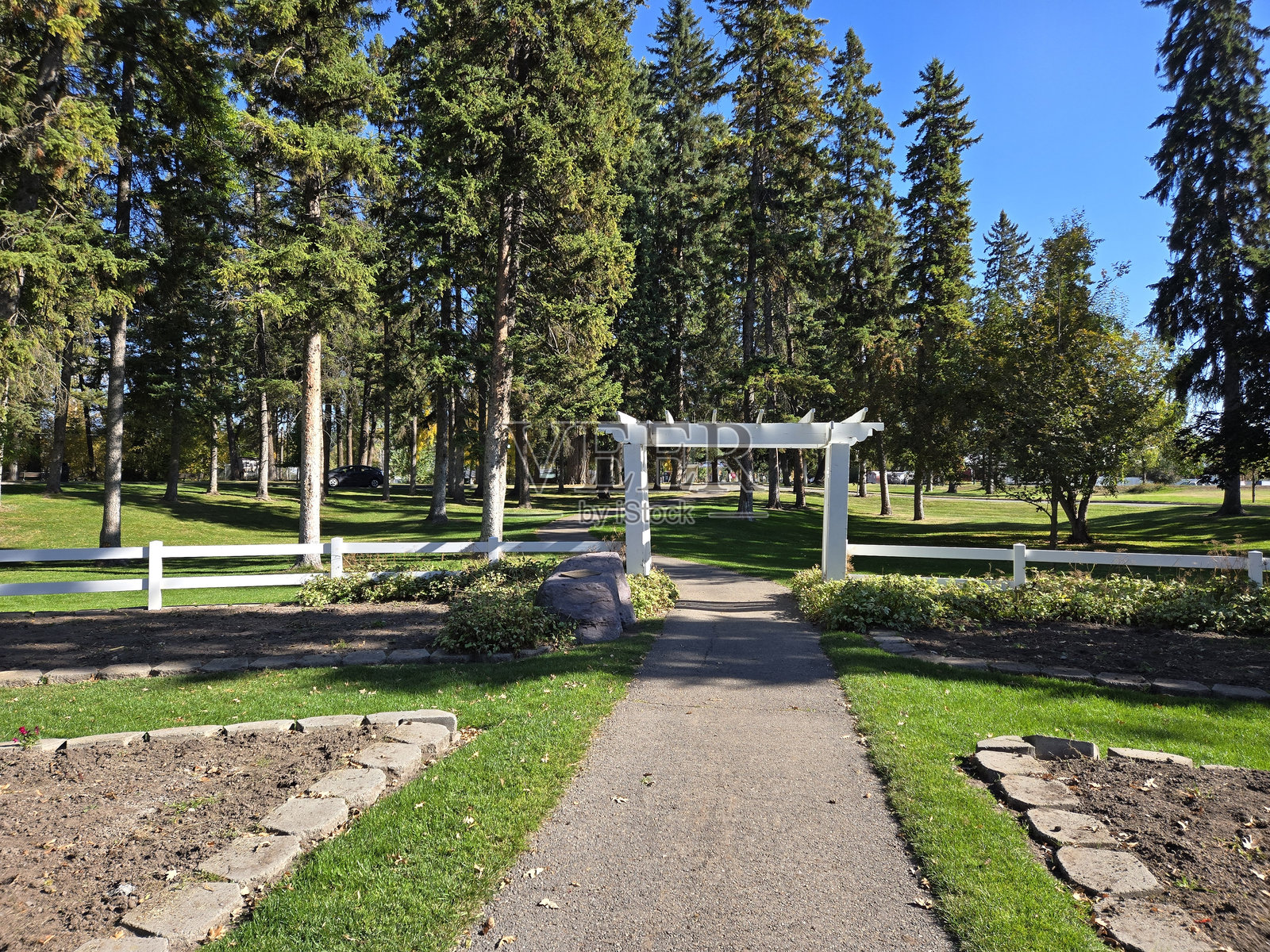 蒙大拿州卡利斯佩尔的森林公园照片摄影图片