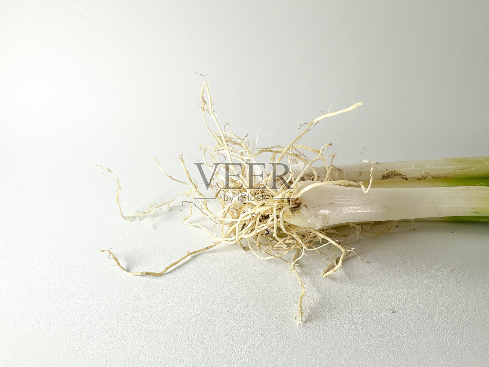 青葱根部特写照片摄影图片