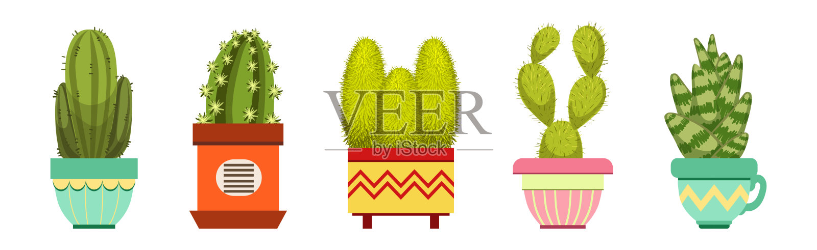 绿色刺状仙人掌植物生长在装饰性陶瓷花盆中的矢量图集插画图片素材