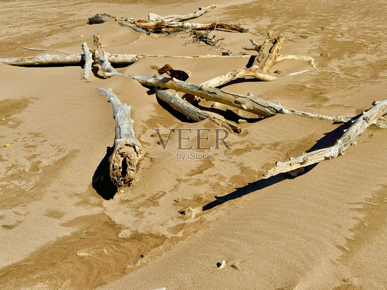 大沙丘国家公园照片摄影图片