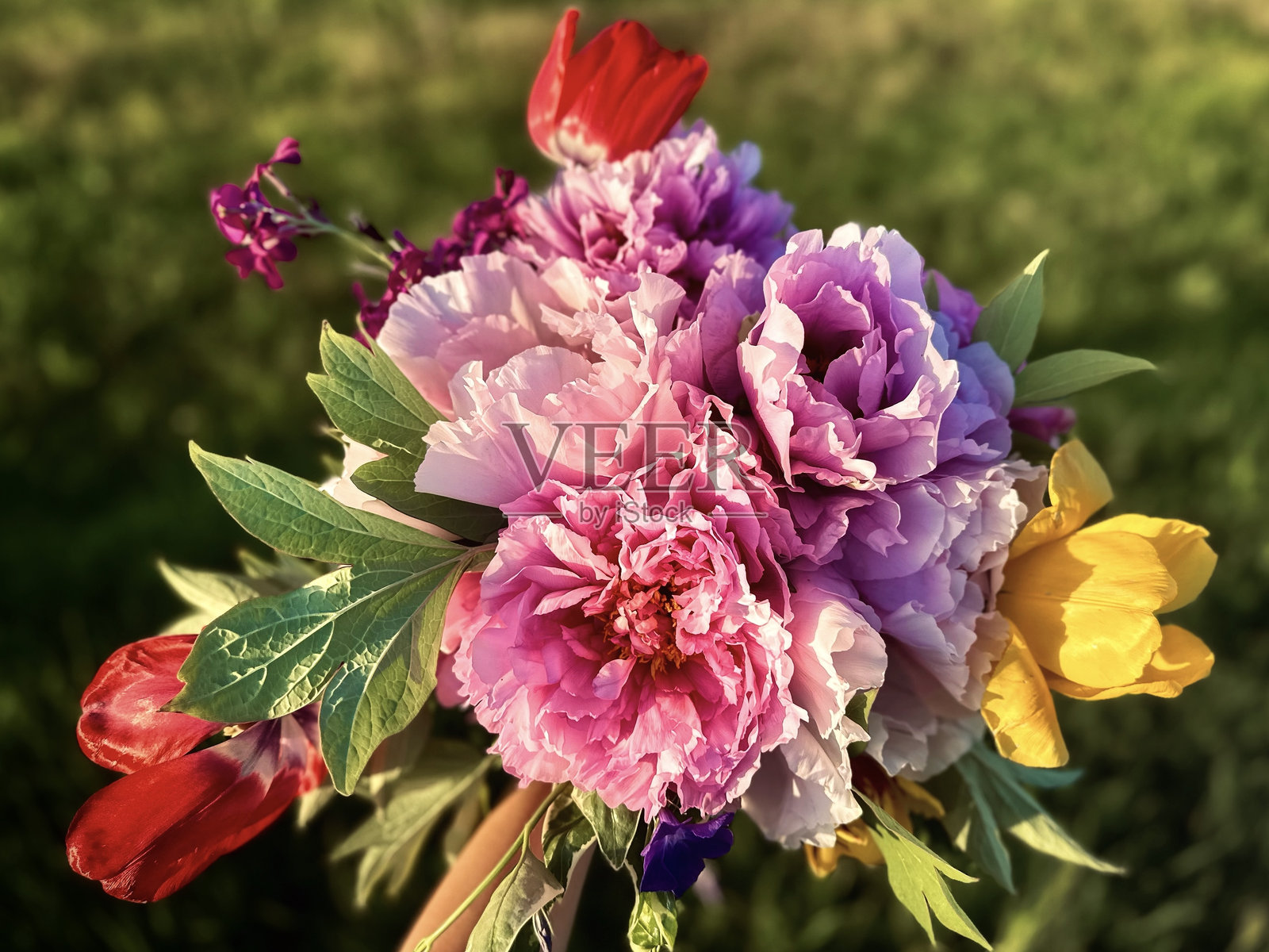 春天的色彩照片摄影图片