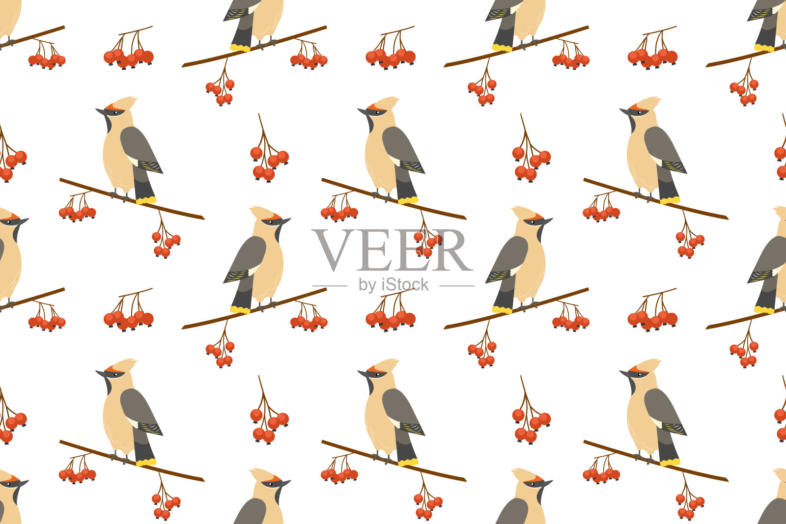 无缝图案,包含了蜡嘴雀和山楂果。插画图片素材