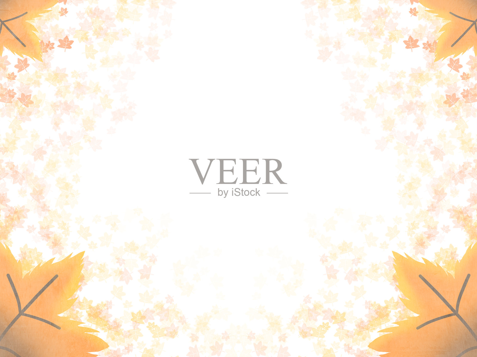 空白的秋季风景背景,棕色枫叶从角落飘落,白色横幅背景上自然色彩,留有空白空间。照片摄影图片