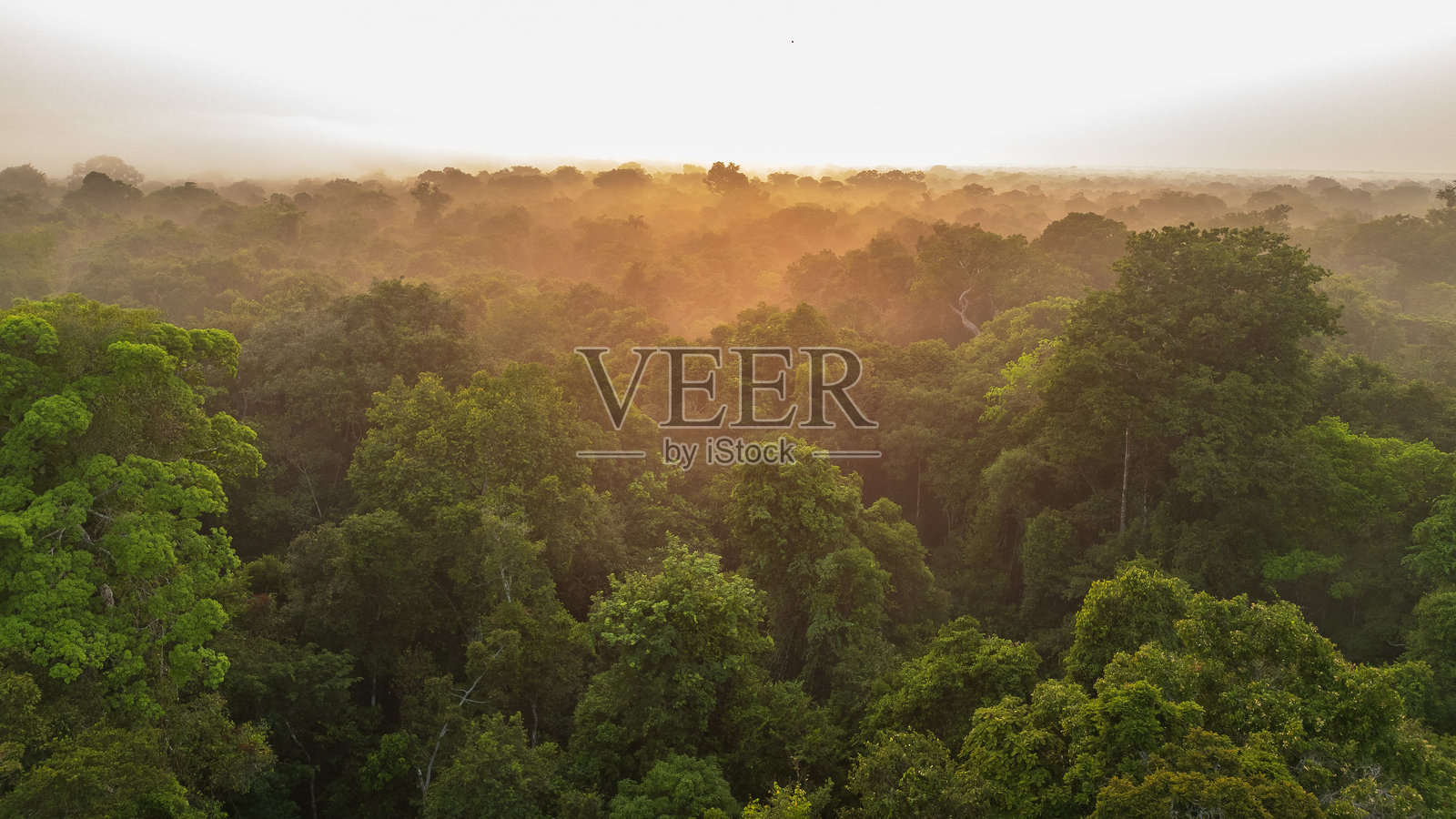 纳奈河的航拍照片照片摄影图片