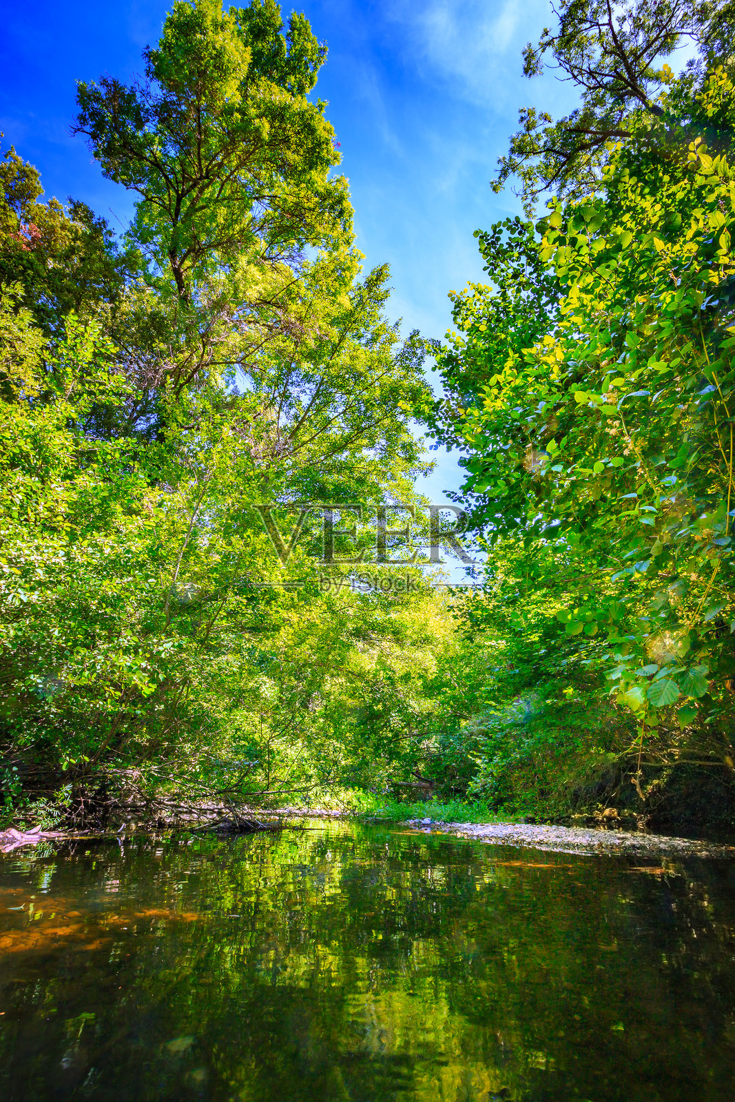 法国奥尔比厄河照片摄影图片