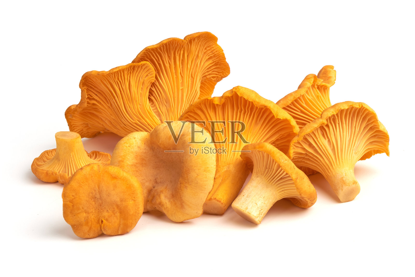 新鲜的生牛肝菌,孤立在白色背景上照片摄影图片