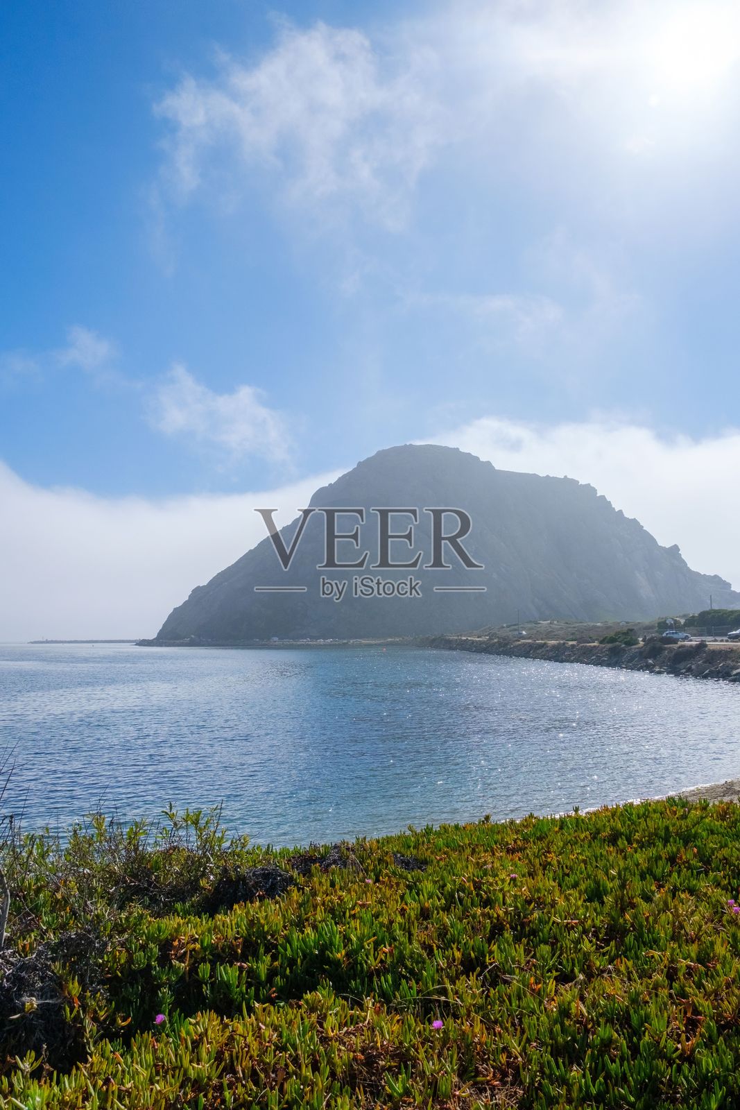 加利福尼亚州莫罗湾的莫罗岩壮丽景色,宁静的海洋水域被郁郁葱葱的绿植环绕。照片摄影图片