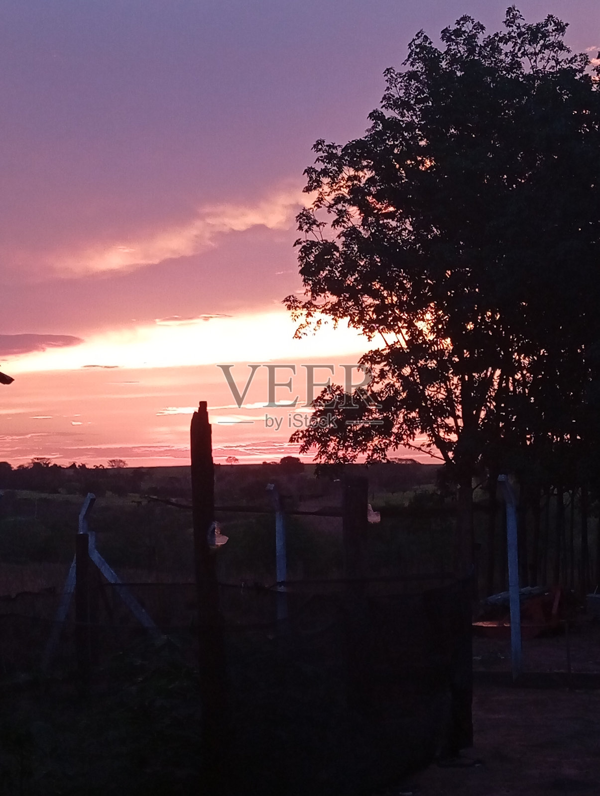 巴西的日落照片摄影图片