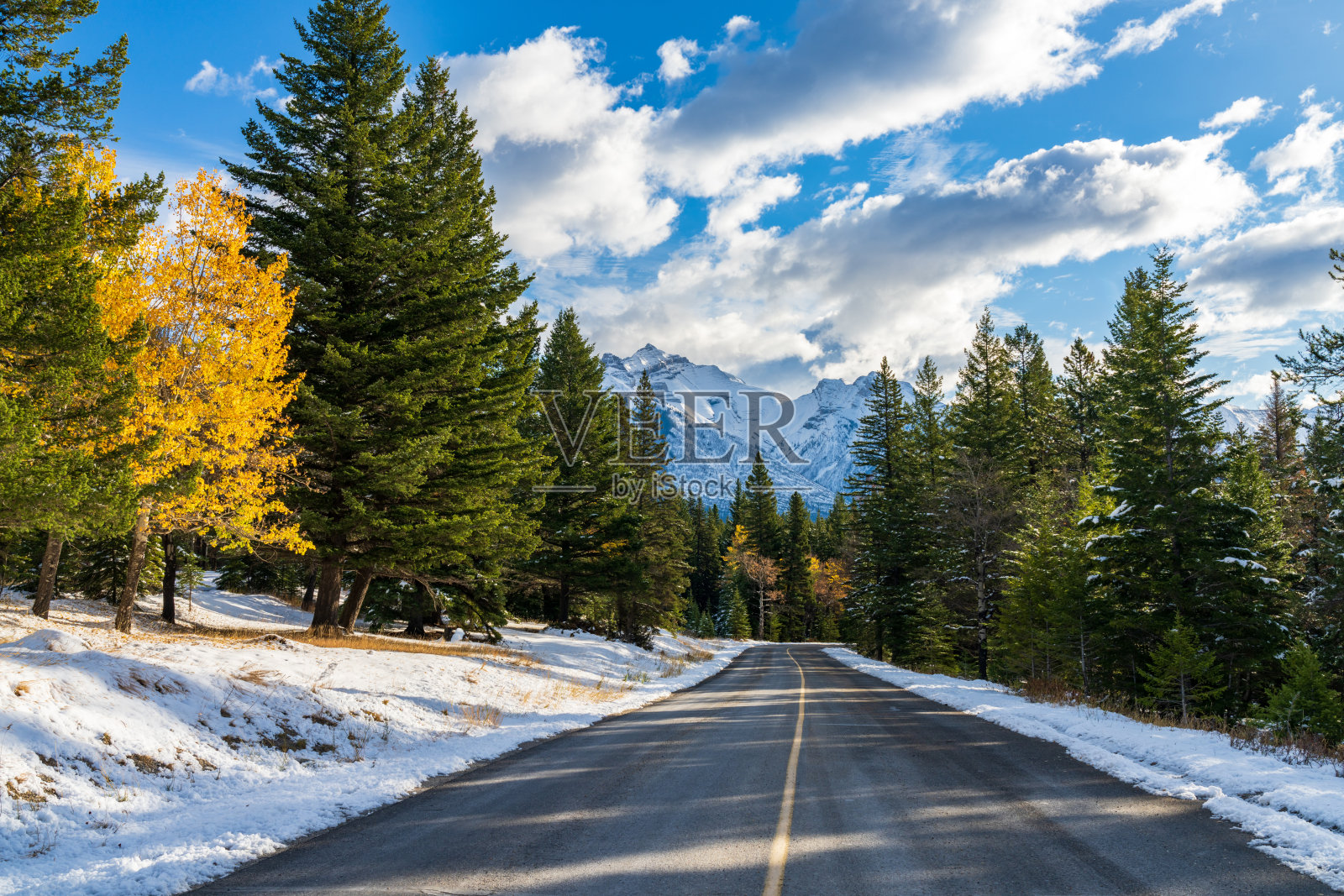 森林中的乡村道路,雪白的秋天阳光明媚。班夫国家公园,加拿大落基山脉。照片摄影图片