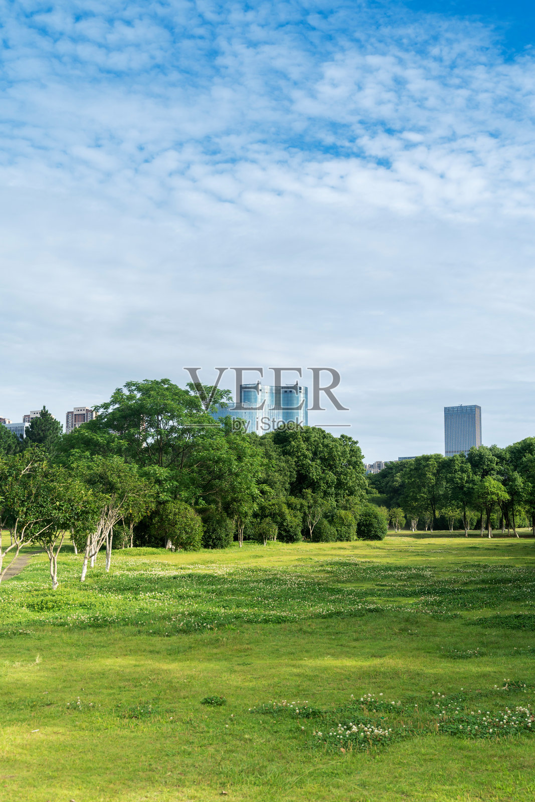 美丽的城市公园全景照片摄影图片