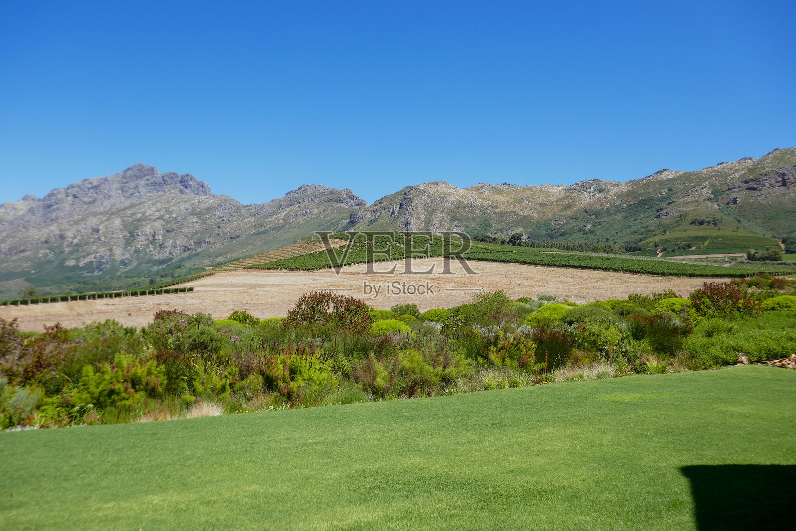 南非西开普省照片摄影图片