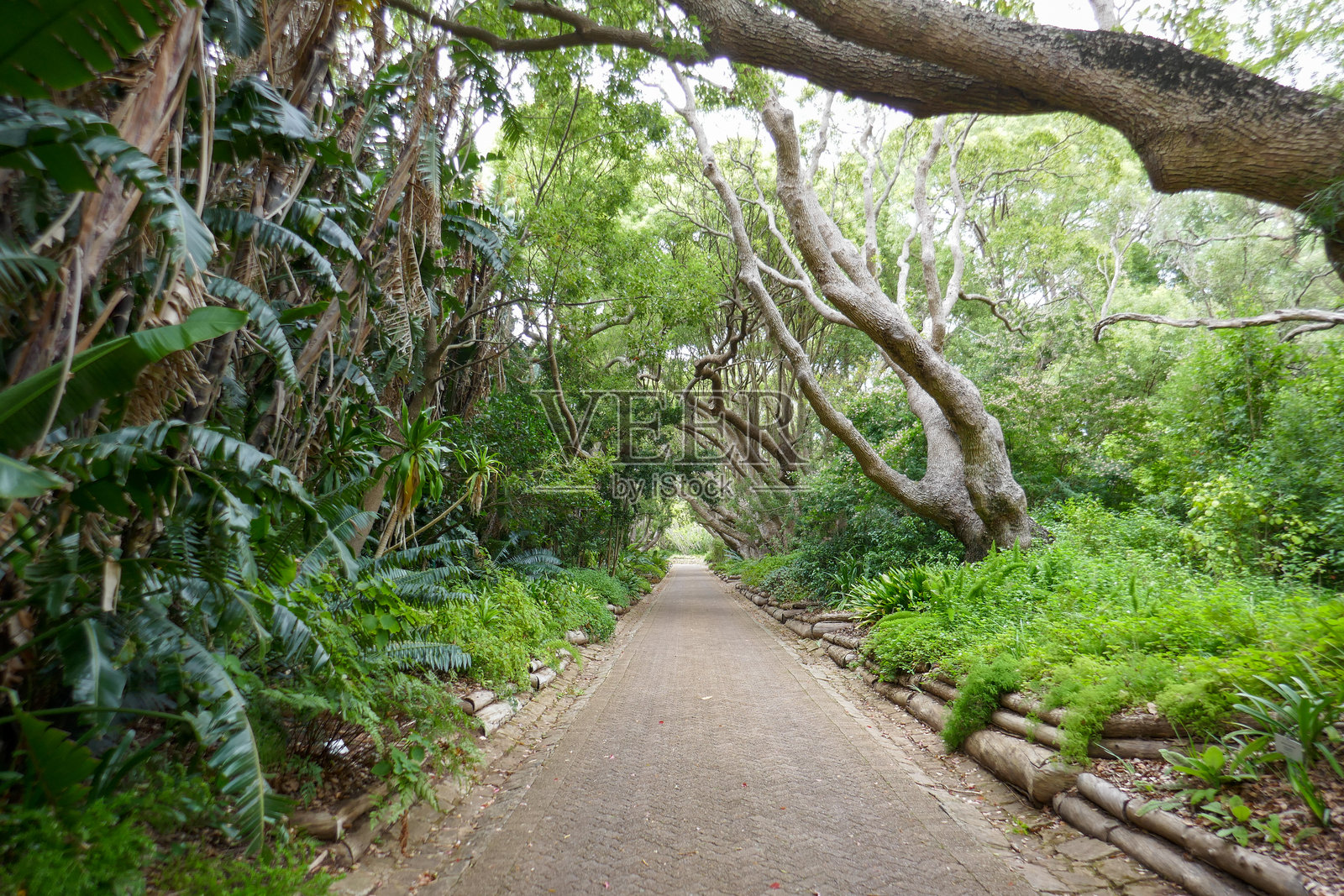 南非西开普省照片摄影图片