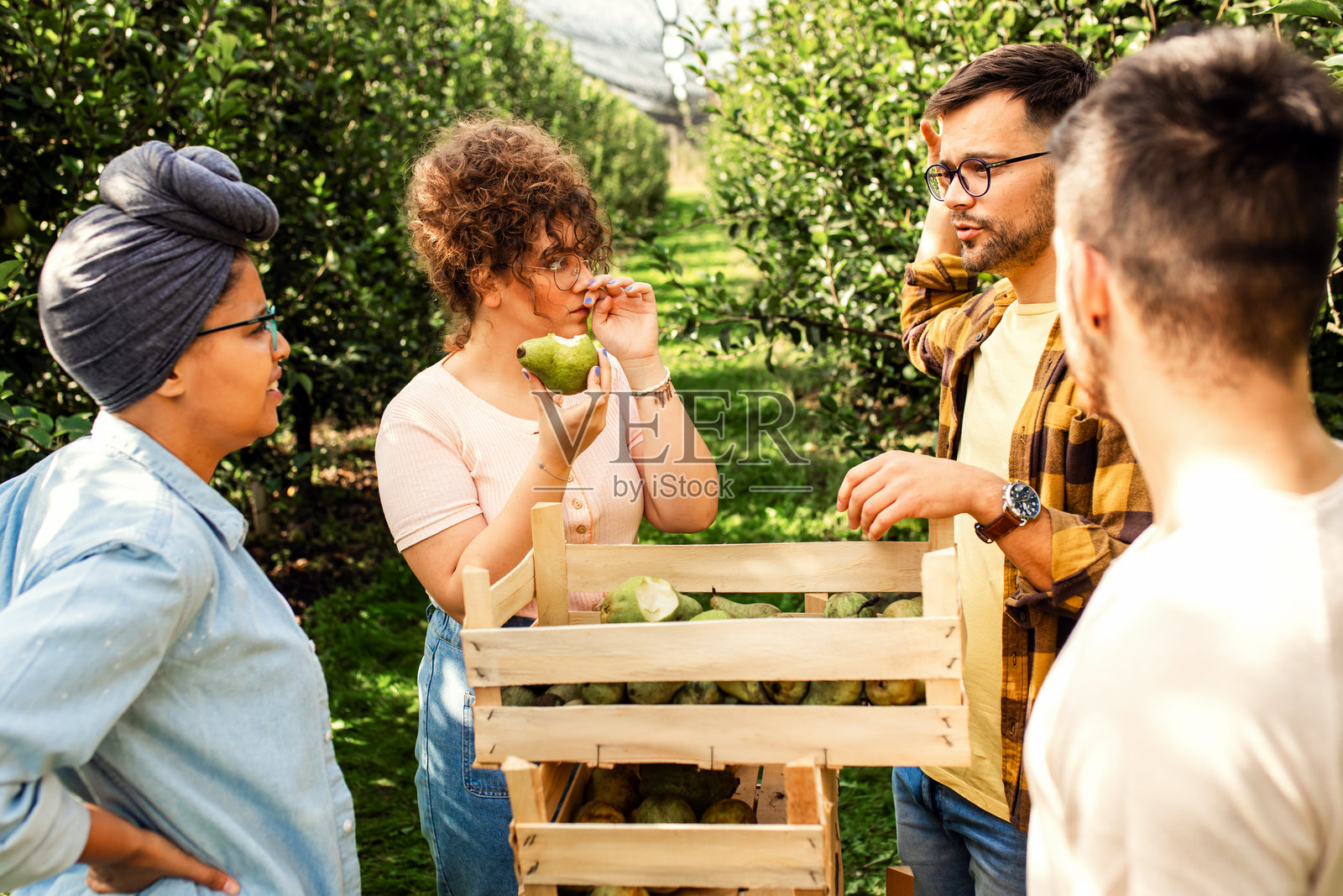 一群农业学生在梨园中检查水果产量。照片摄影图片