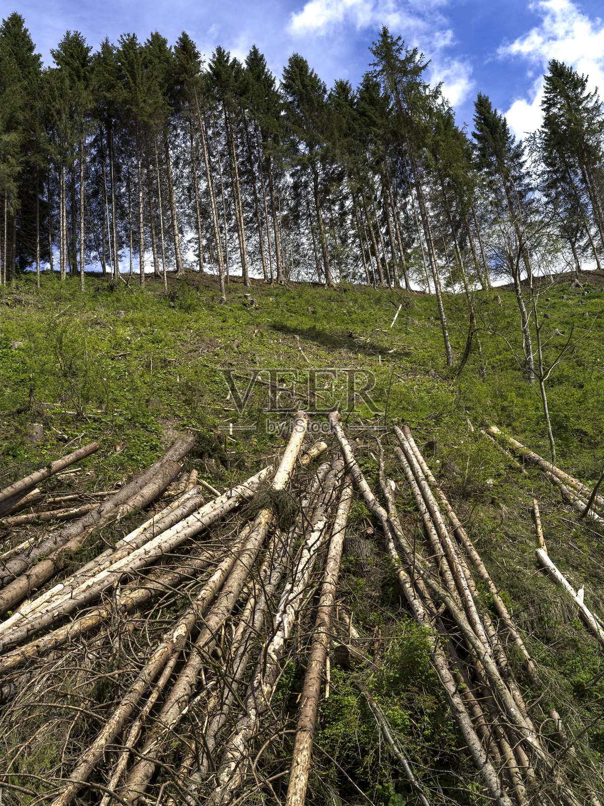 意大利阿西亚戈的山林风景照片摄影图片