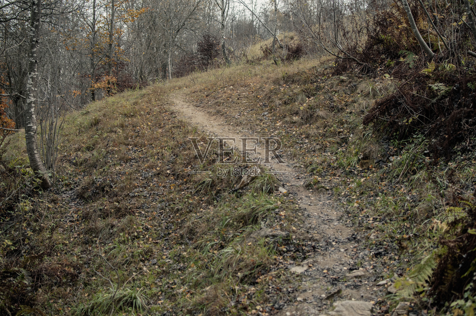 海洋阿尔卑斯山的秋季色彩与氛围照片摄影图片