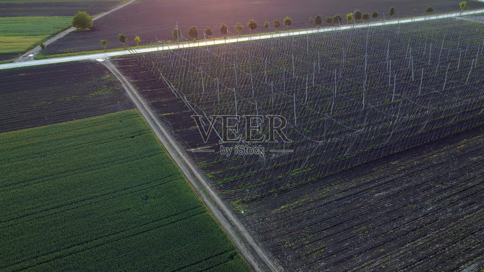 伏伊伏丁那省早春的农业田野,航拍视角照片摄影图片