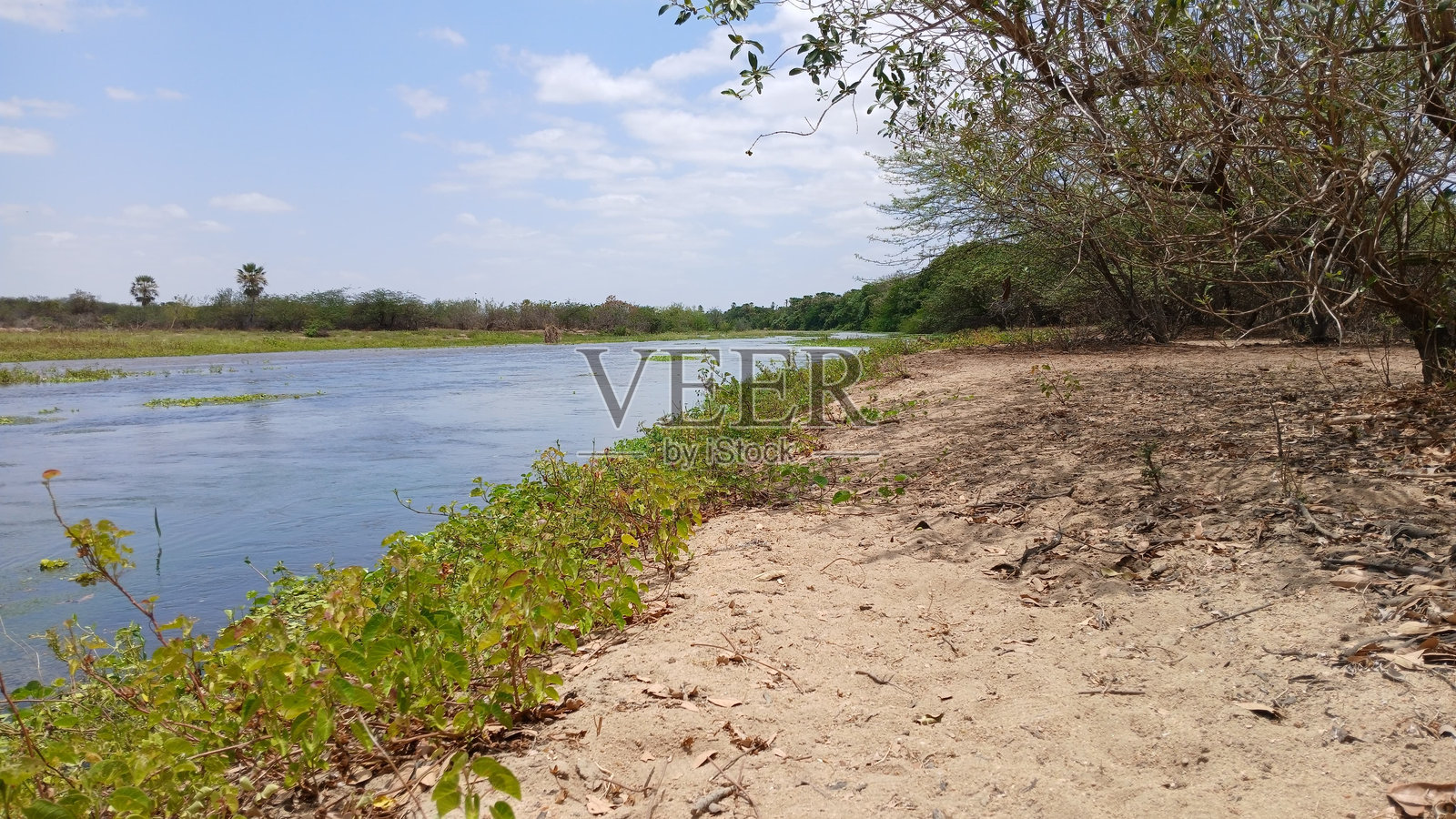 在偏远地区凉爽的一天中间的河流照片摄影图片
