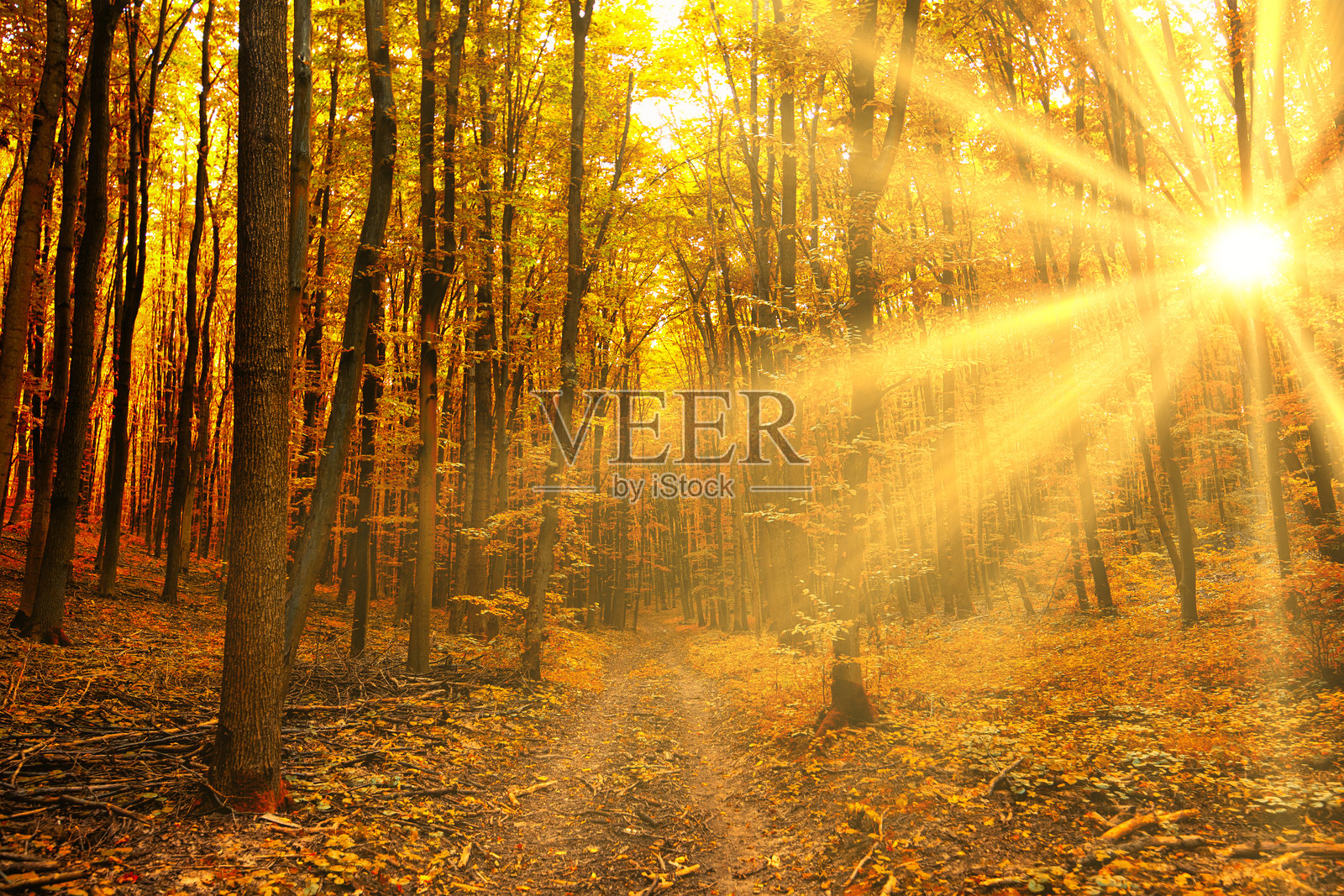 大自然的戏剧:尘埃笼罩的日落用魔法描绘天空照片摄影图片