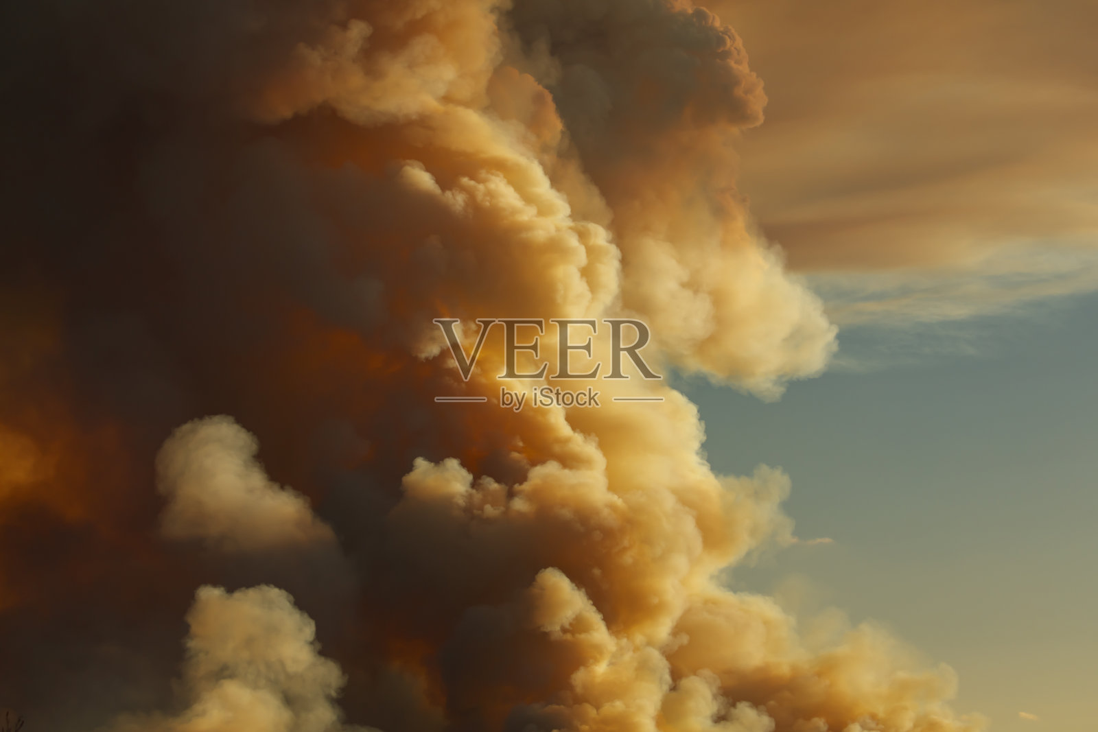 蓝山地区对树木和灌木丛进行的控制性危险减少燃烧照片摄影图片