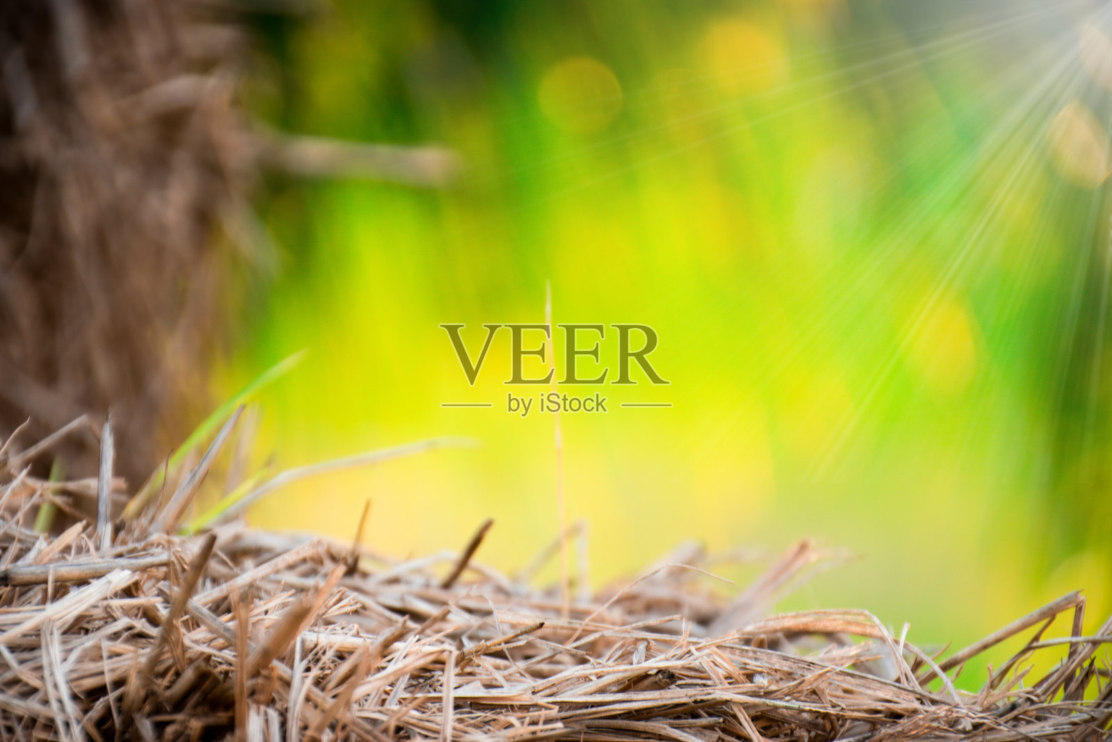 干草与绿色和黄色背景。照片摄影图片