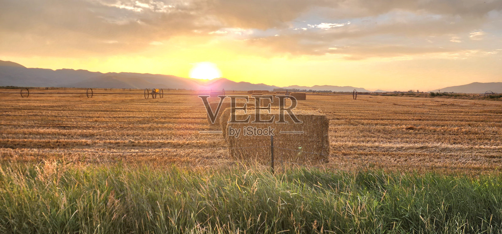 早上好!照片摄影图片