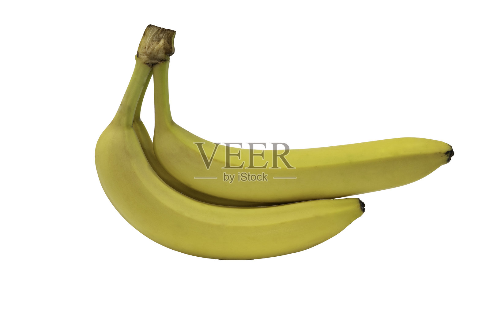 两根带有绿色色调的黄色香蕉照片摄影图片