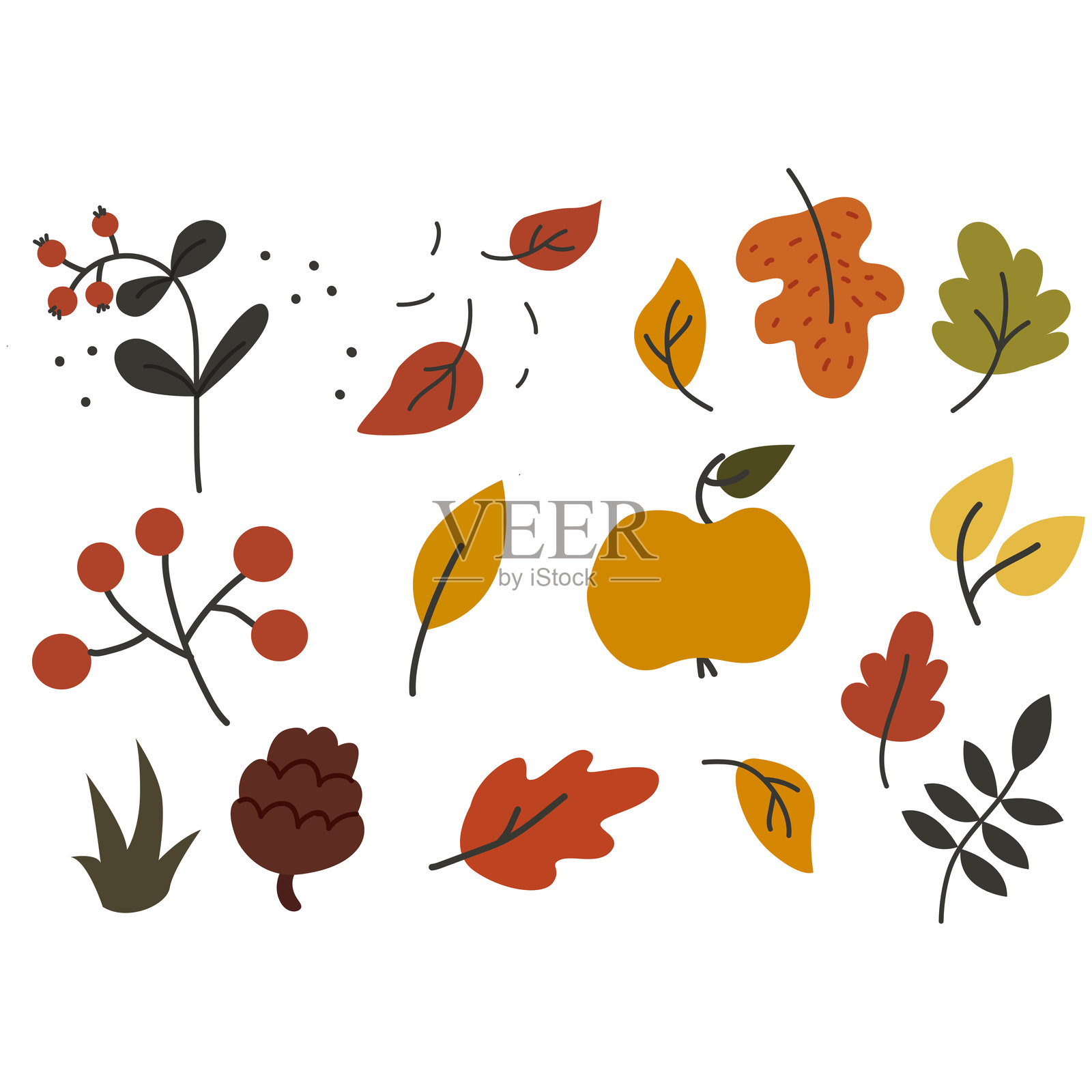 可爱的秋季元素组合,秋天的树叶。插画图片素材