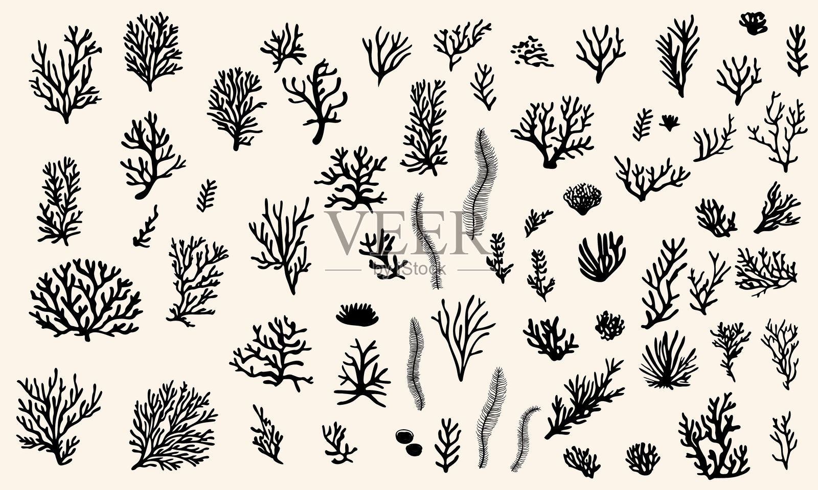 不同形状的珊瑚礁和海藻组合。矢量插图。白色背景上的轮廓。插画图片素材