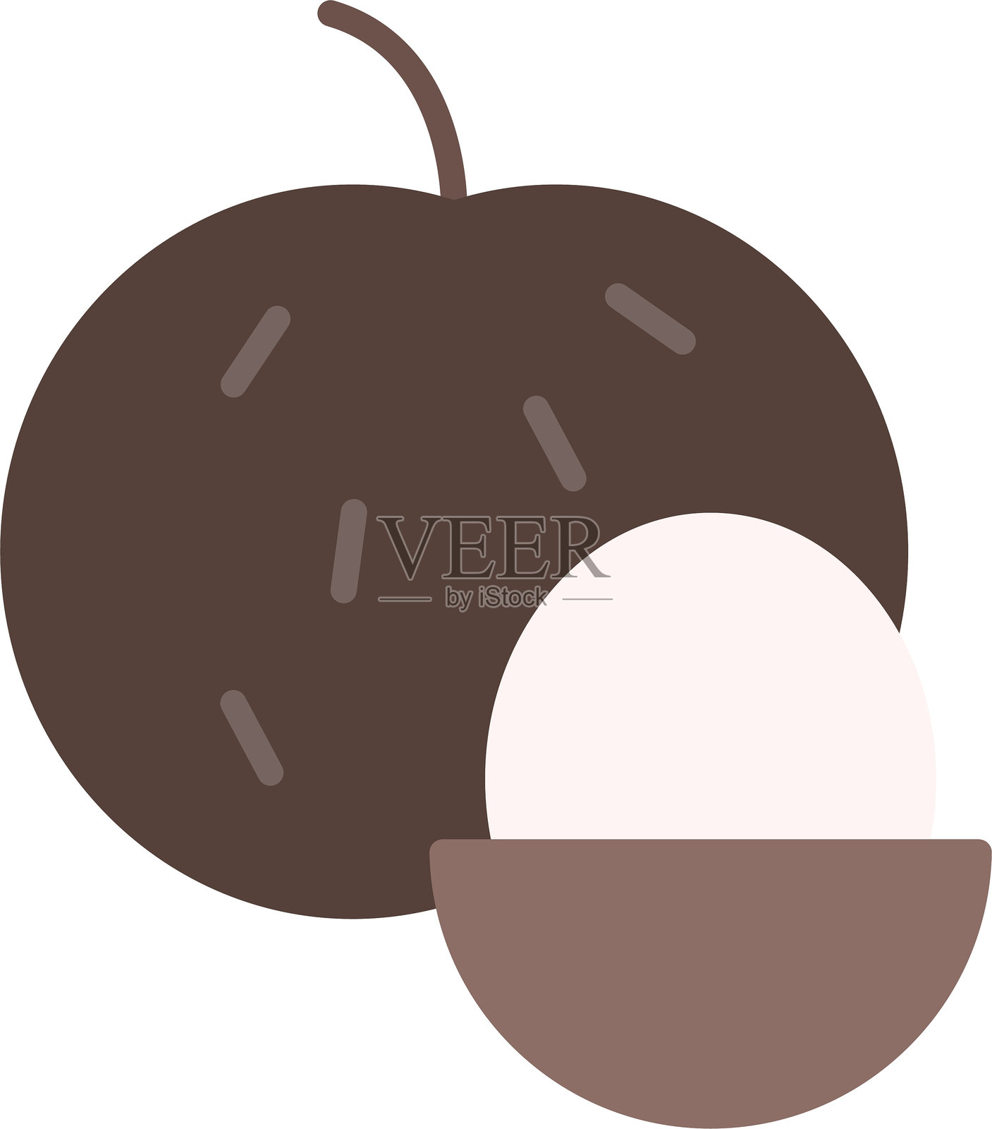 龙眼扁平图标设计插画图片素材