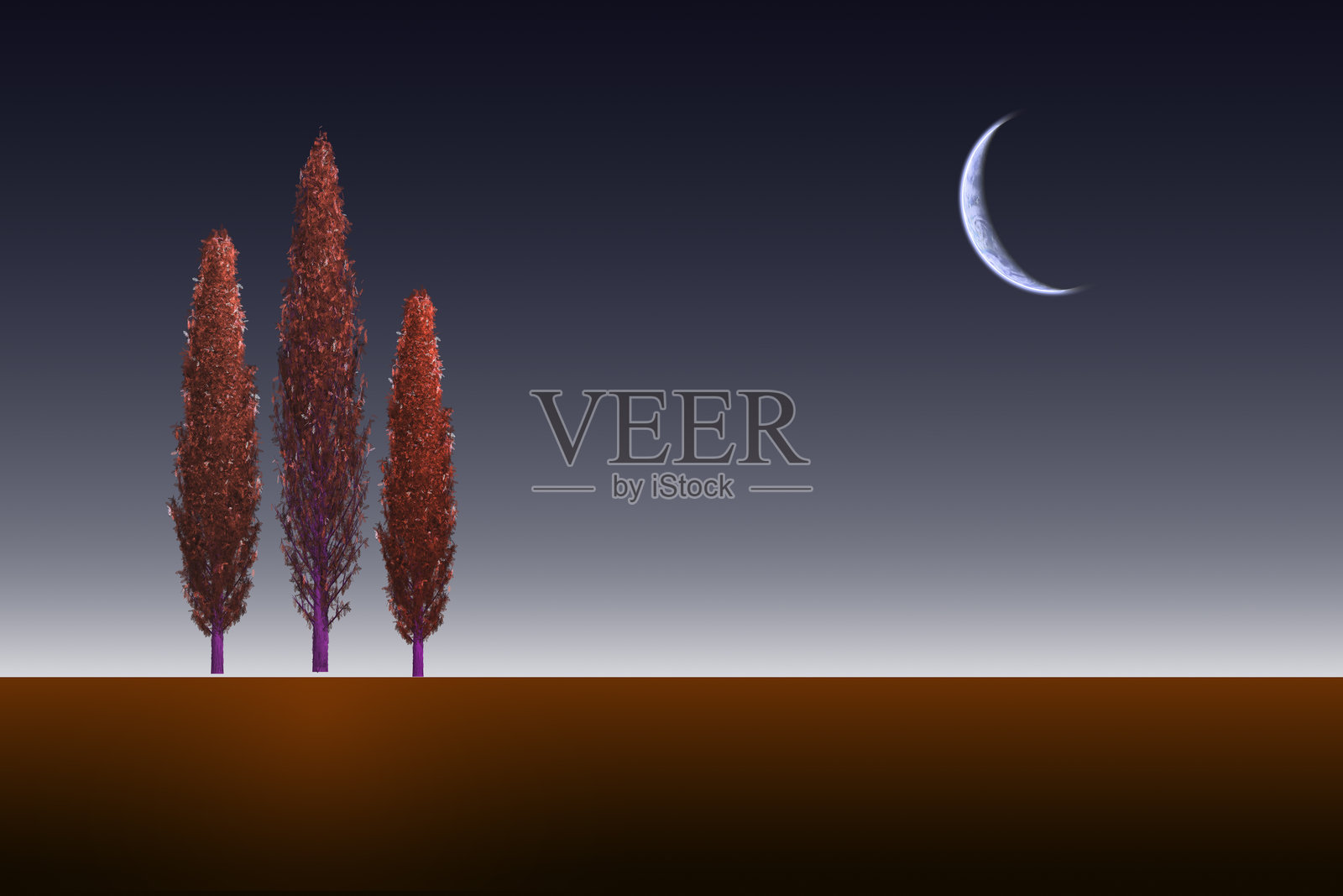 柏树与黄昏的弯月照片摄影图片