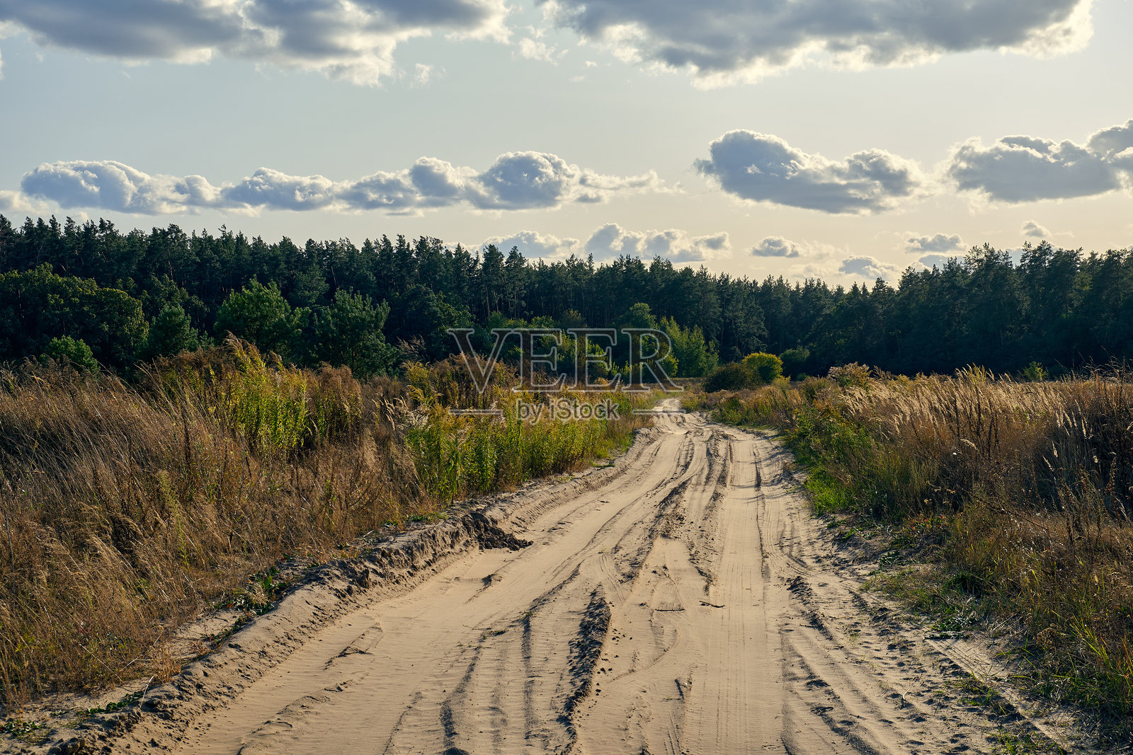 一条泥土小路蜿蜒穿过野生草地,旁边是高高的草丛和郁郁葱葱的绿植,通向一片浓密的森林,天空中点缀着柔和的云朵。照片摄影图片