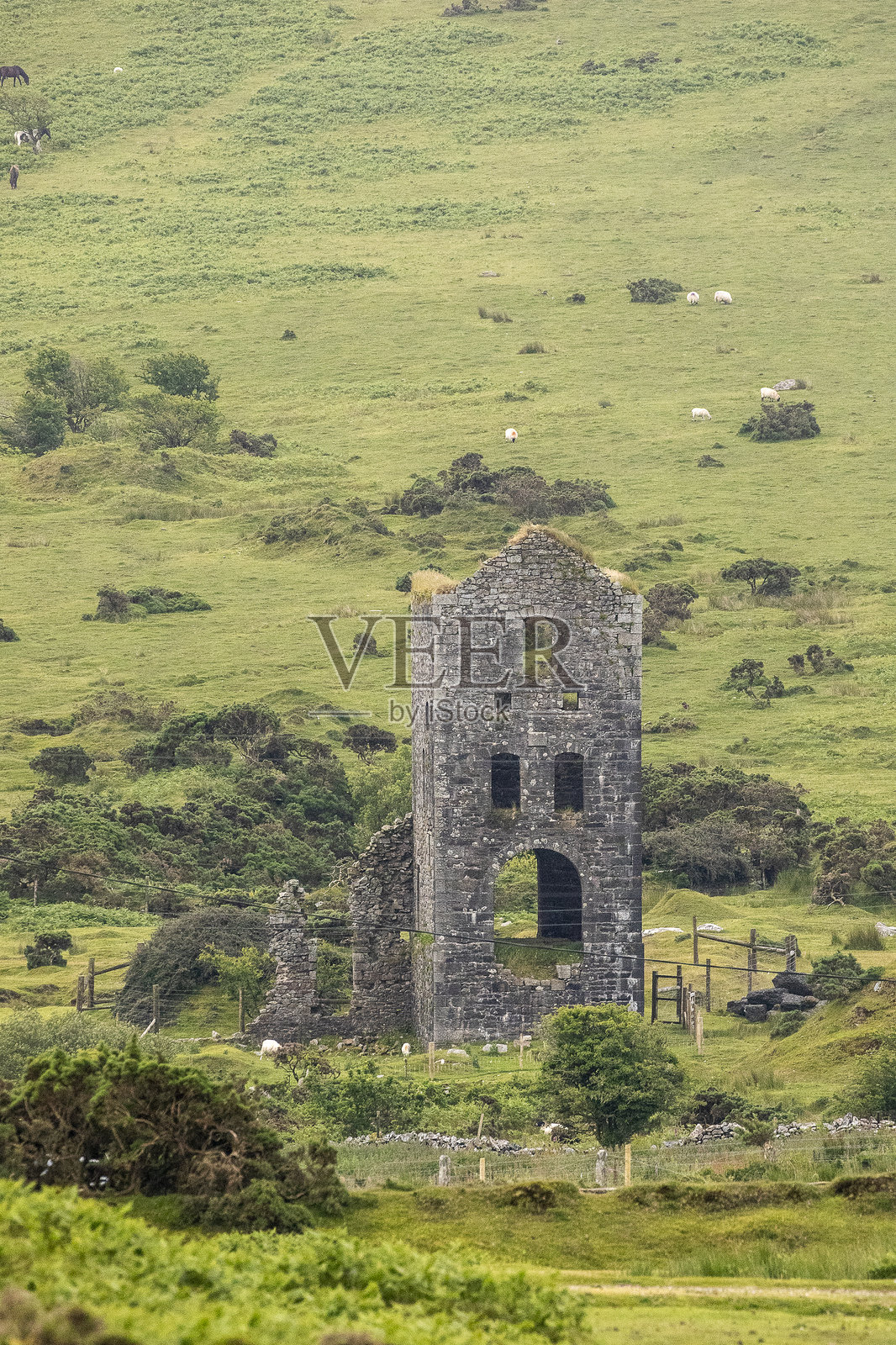 詹金锡矿照片摄影图片